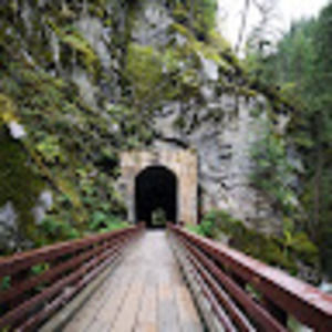 Meet your Posher, Sadie